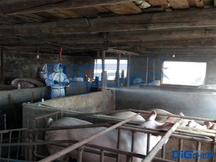 養(yǎng)殖場豬舍高壓水清洗