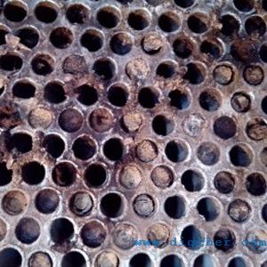 �켈�S���l(f��)����ϴ�C(j��)-�A����܇(ch��)�g���l(f��)���߉���ϴ�C(j��)